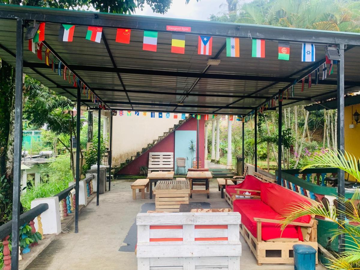 Rock View Hostel إيلا المظهر الخارجي الصورة