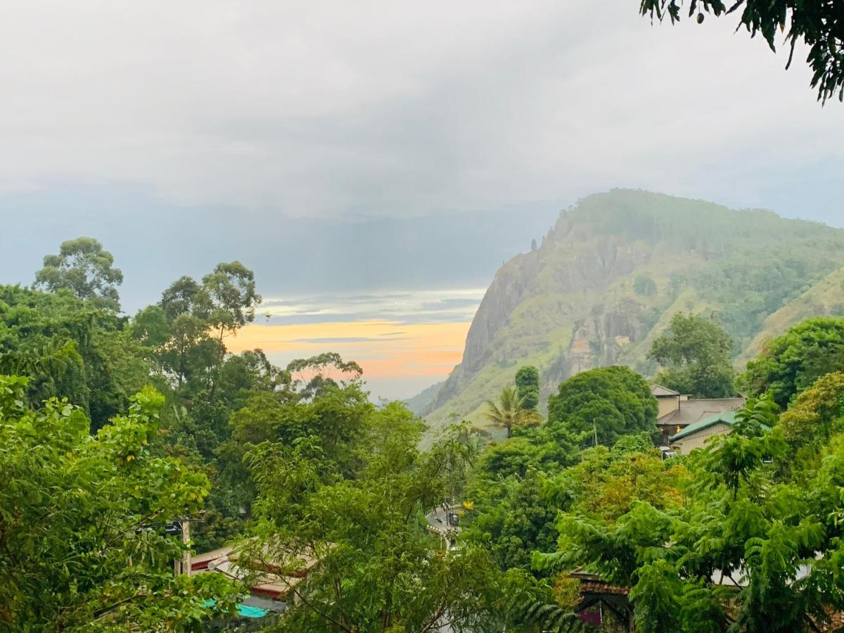 Rock View Hostel إيلا المظهر الخارجي الصورة