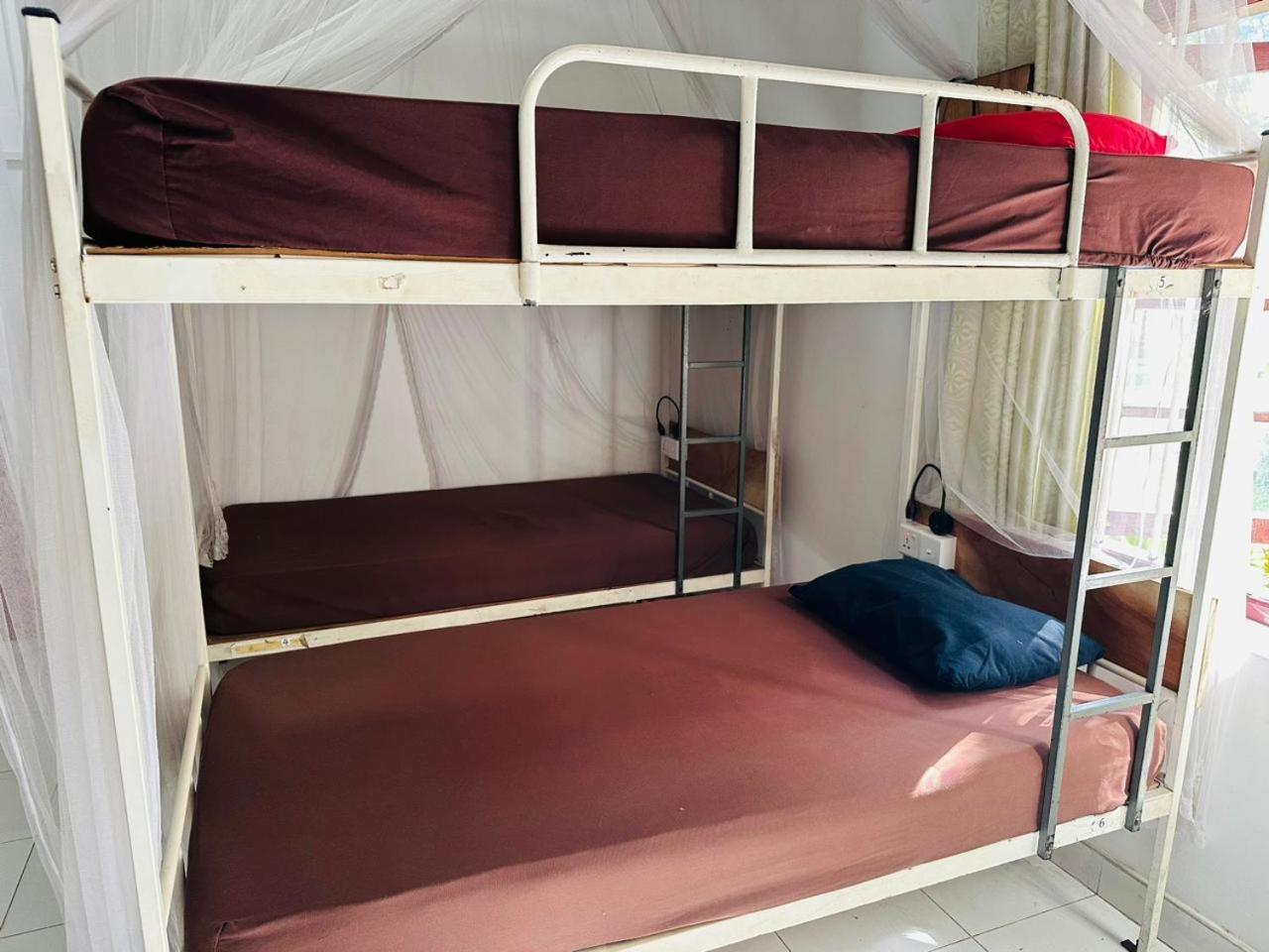 Rock View Hostel إيلا المظهر الخارجي الصورة