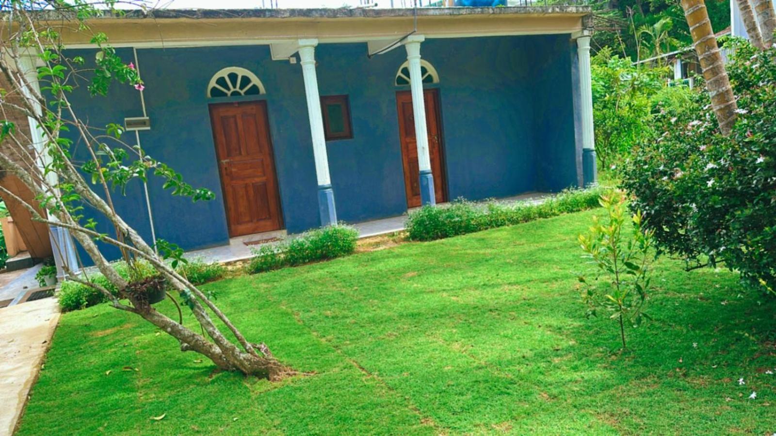 Rock View Hostel إيلا المظهر الخارجي الصورة
